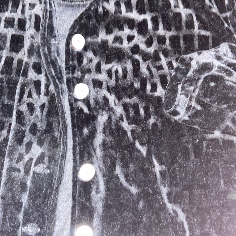 Velvet Coat - Picture 2 of 2